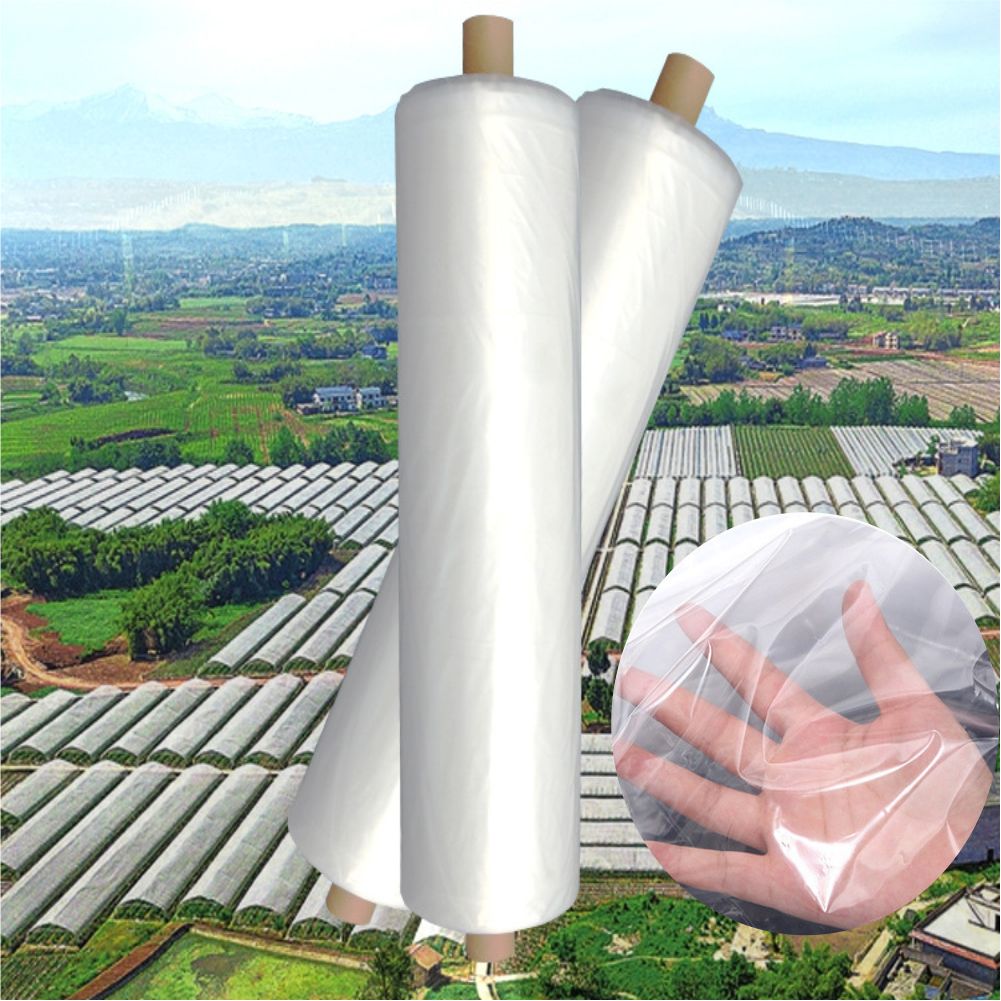 Agriculture Farming Vegetables - Tarım Çiftliği Sera Plastik Film Bahçe