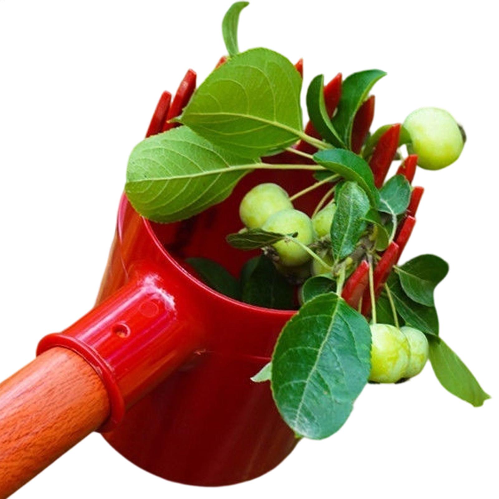 Agriculture Farming Tool - Berry Picker Scoop Yaban Mersini Çilek
