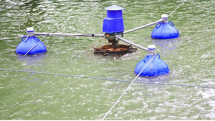 3HP Ticari Su Ürünleri Yetişti - Fish Pond Aerator incelemesi ve fiyatı