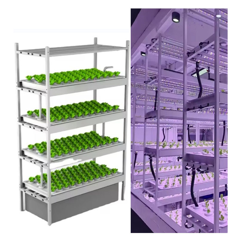 Sera Tarım Ekipmanları Mantar  - Agriculture Farming Vegetables incelemesi ve fiyatı