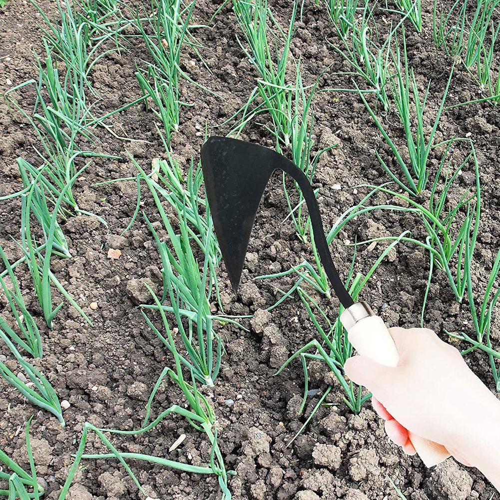 Çiftlik Aletleri Çapa Üçgen Ça - Agriculture Farming Vegetables incelemesi ve fiyatı