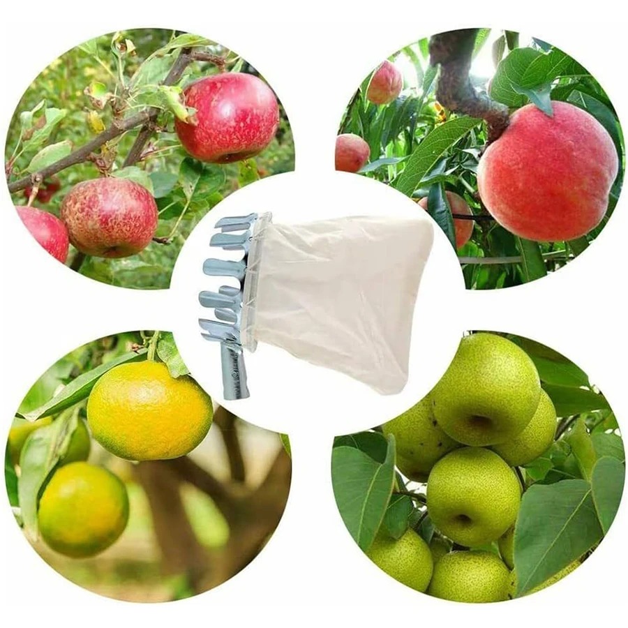 Profesyonel meyve toplama alet - Agriculture Farming Tool incelemesi ve fiyatı