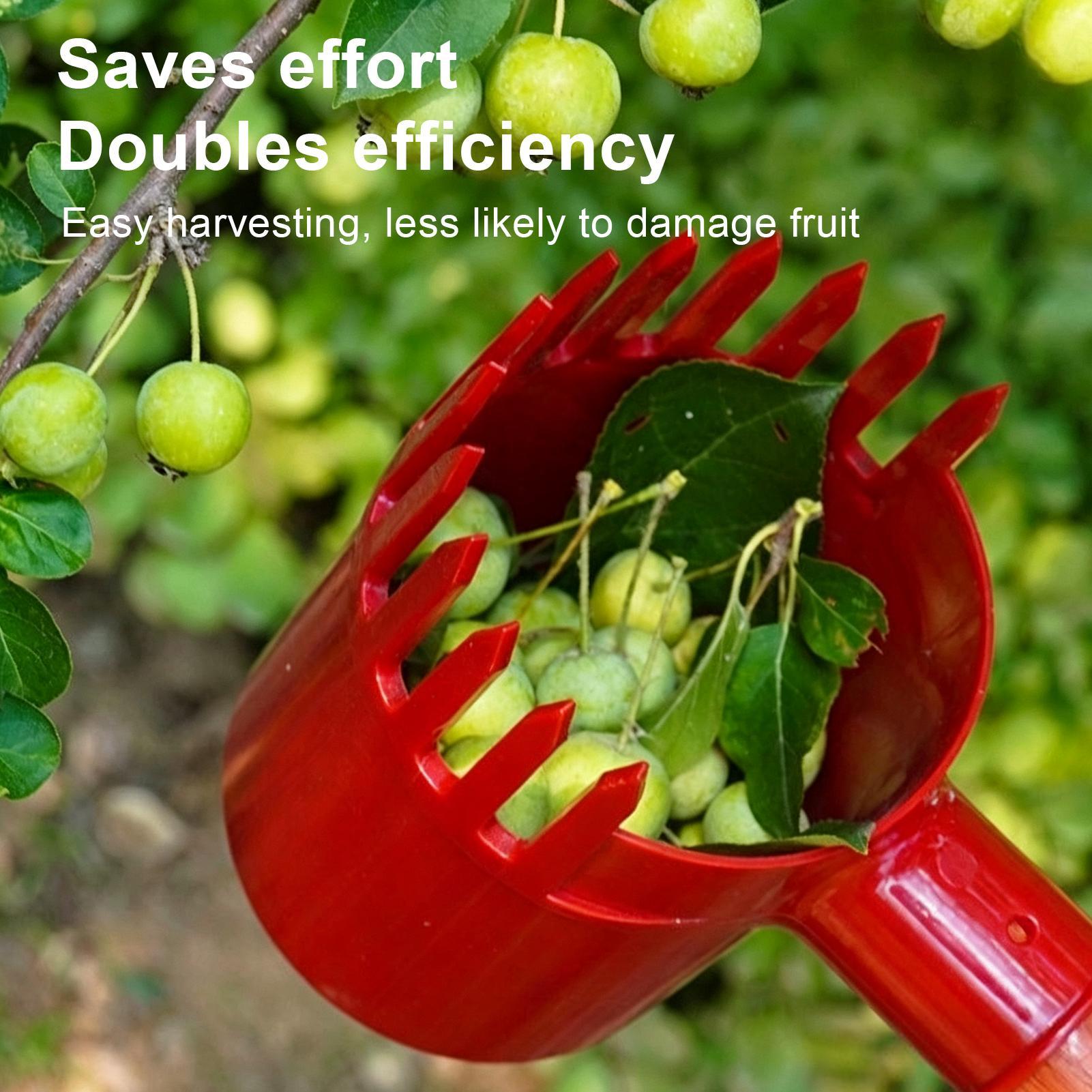 Berry Picker Scoop Yaban Mersi - Agriculture Farming Tool incelemesi ve fiyatı